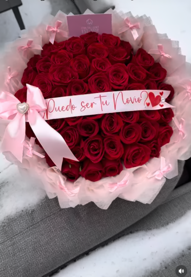 Quieres ser mi novia?