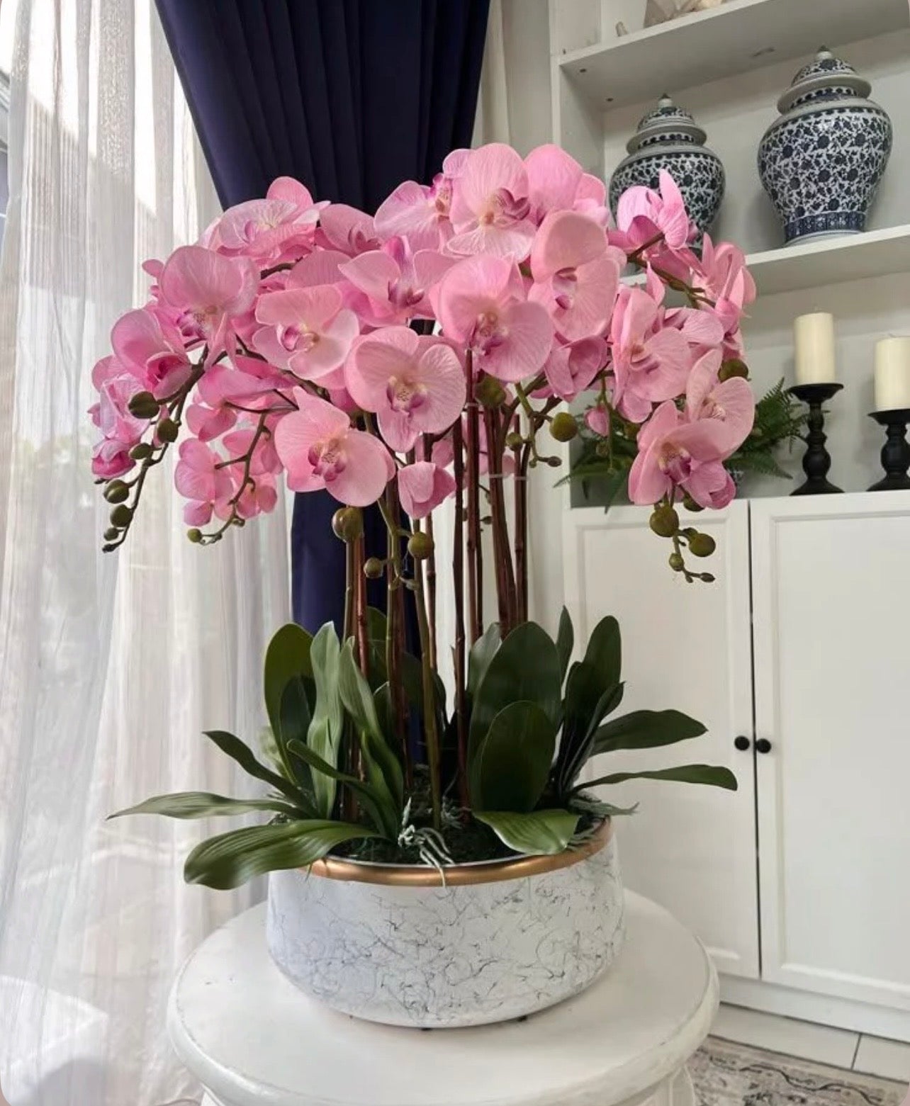 Orquídeas