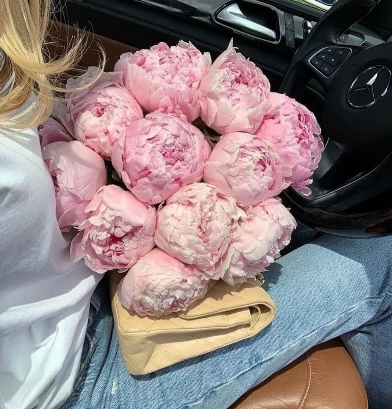 Colección Luxury