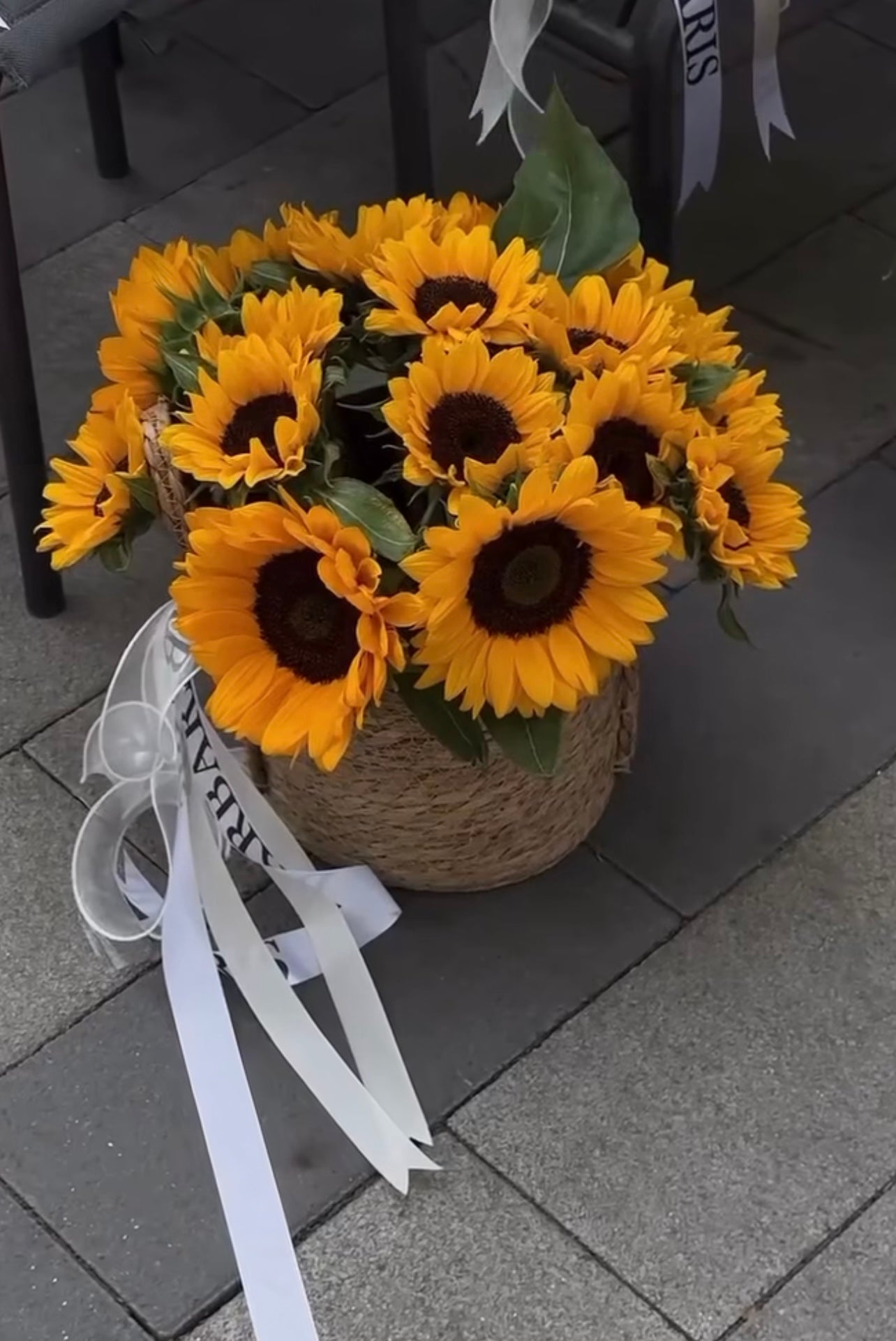 Girasoles