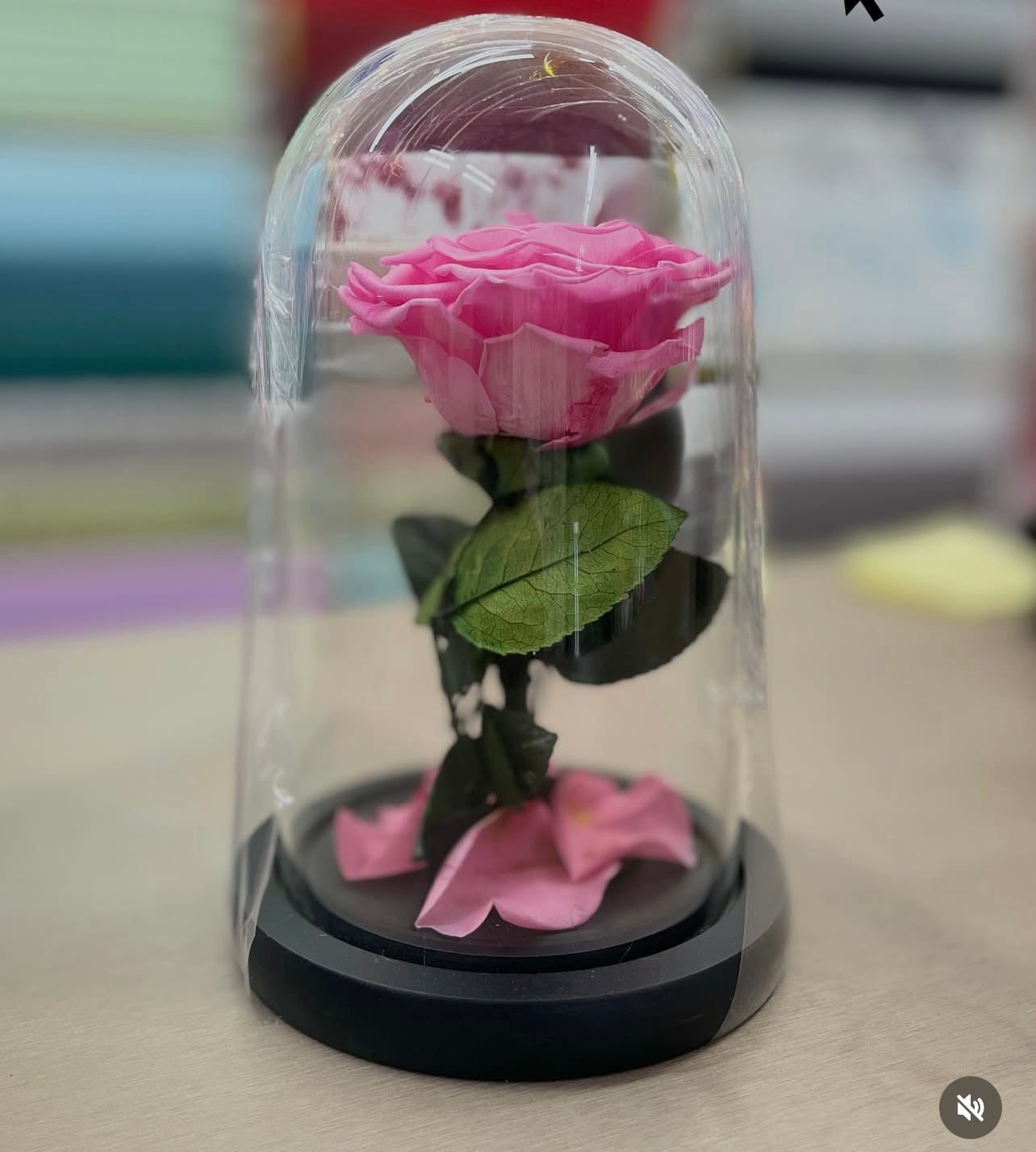 Eternal Rose