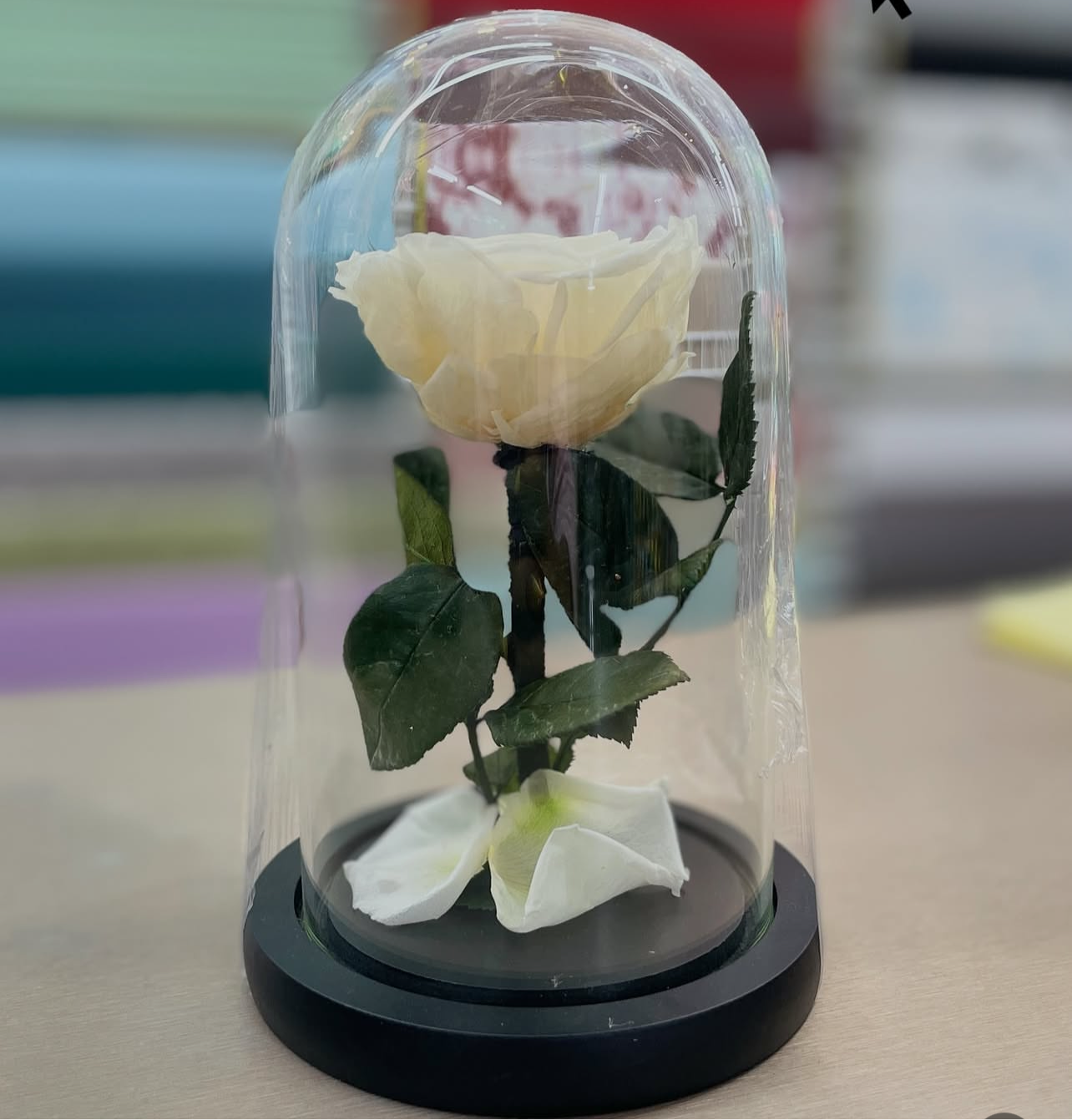 Eternal Rose