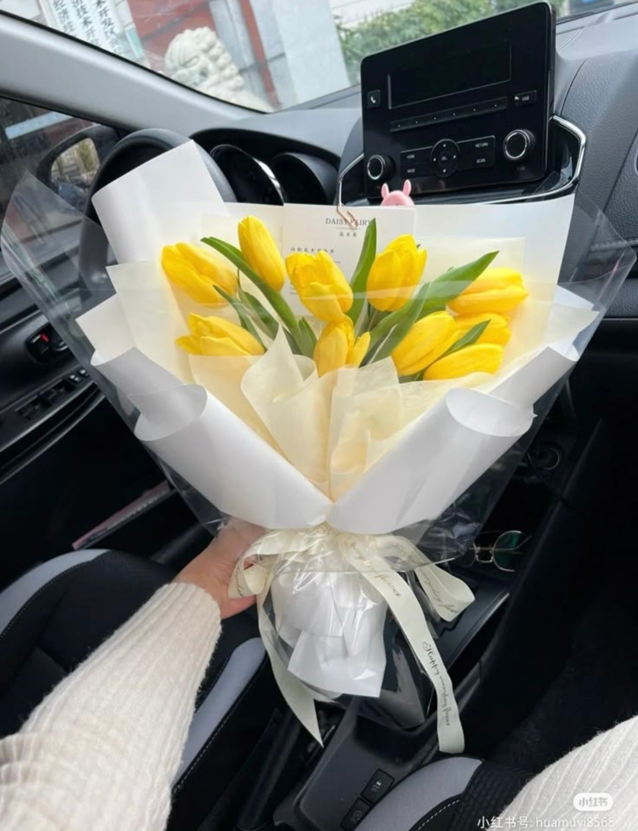 Tulips View