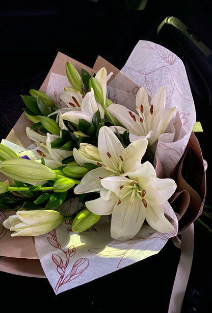Lilys Lilys