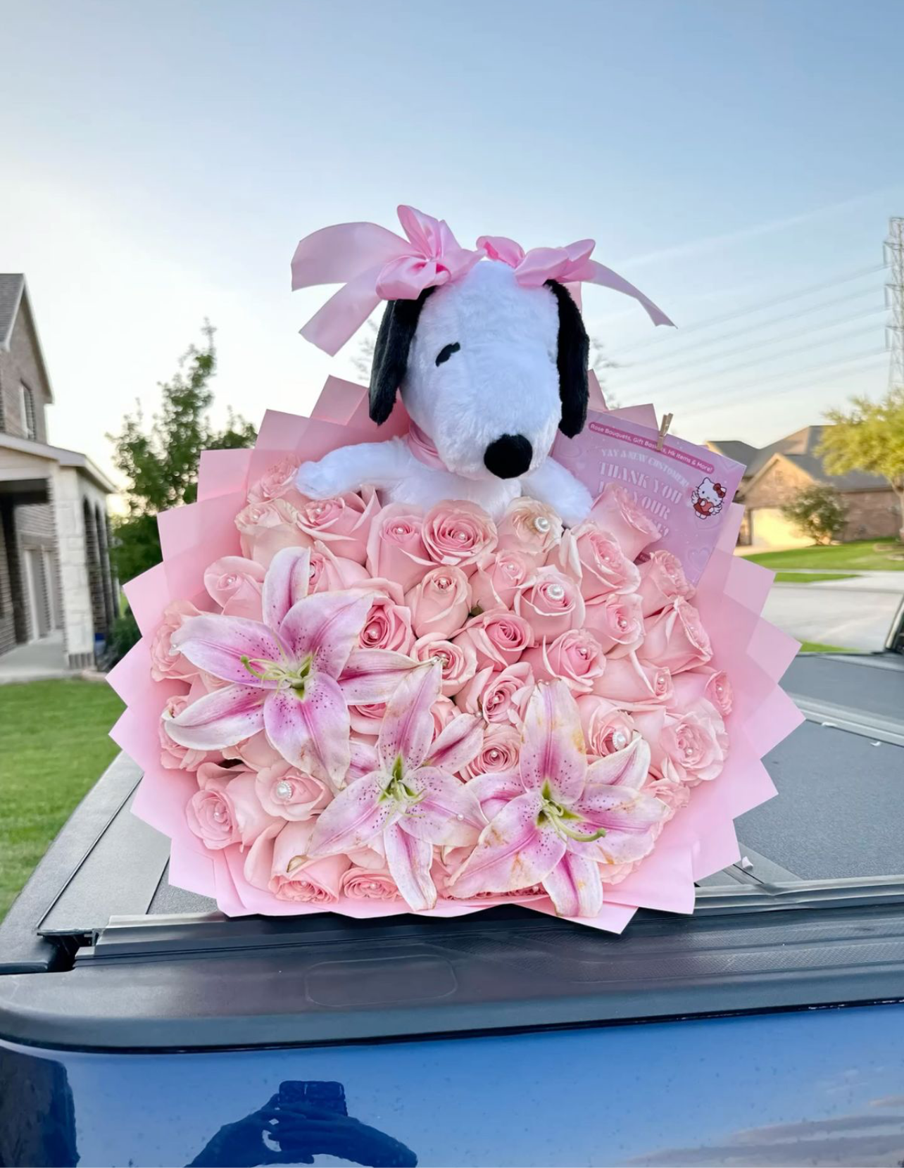 Snoopy Love