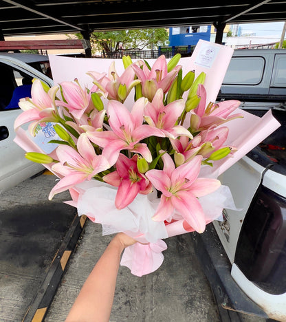 Lilys Pink