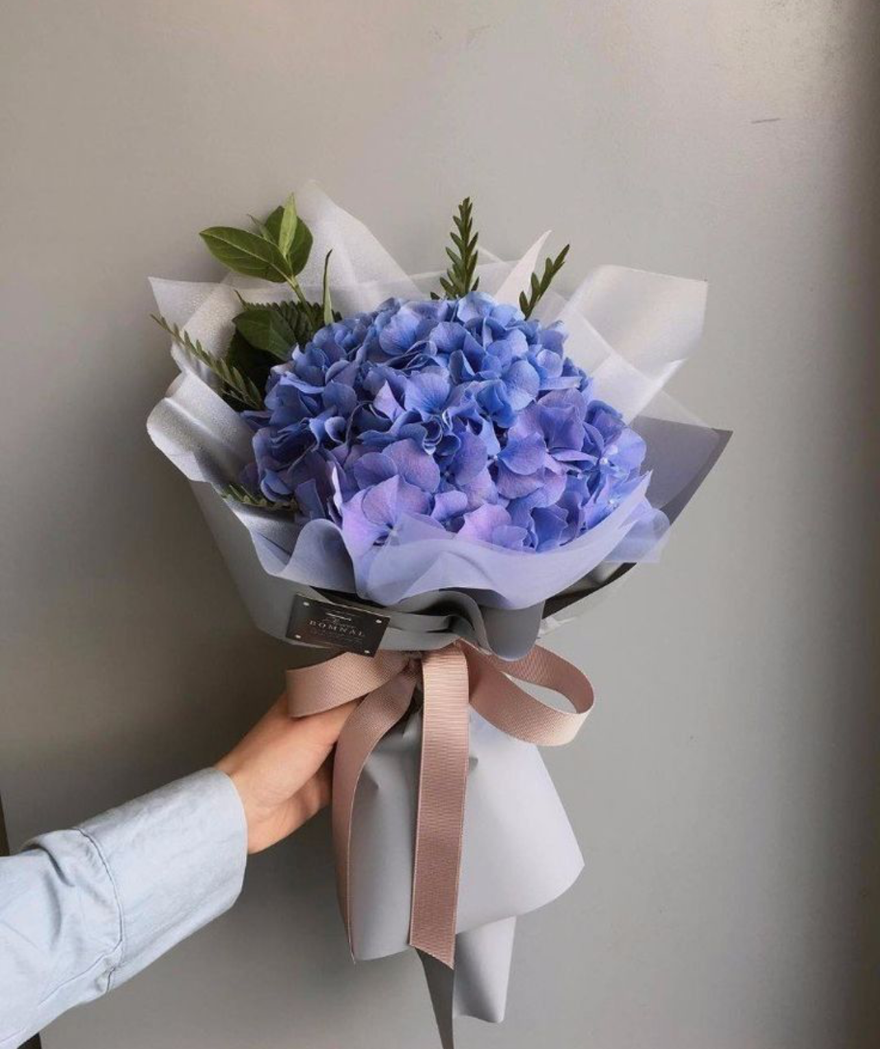 Hortensias Cute