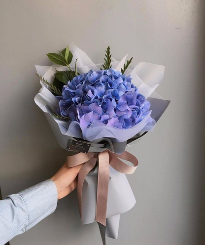 Hortensias Cute