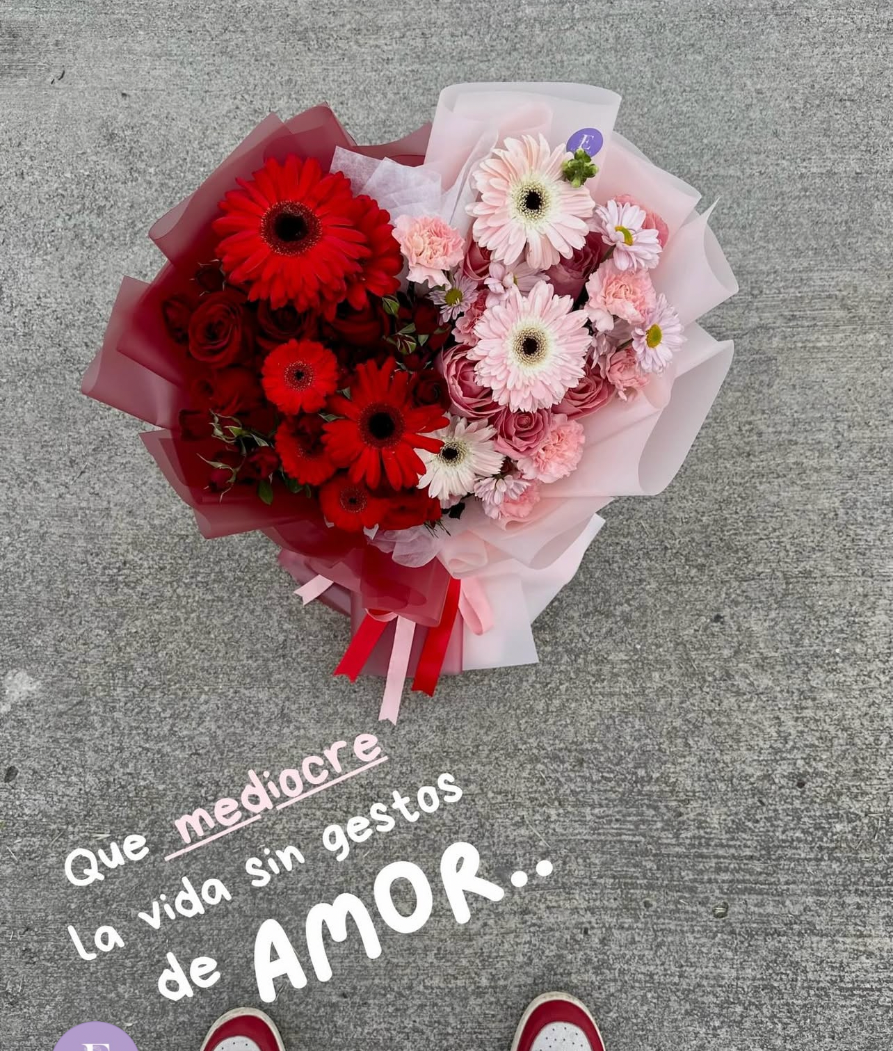 Ternura y Pasión
