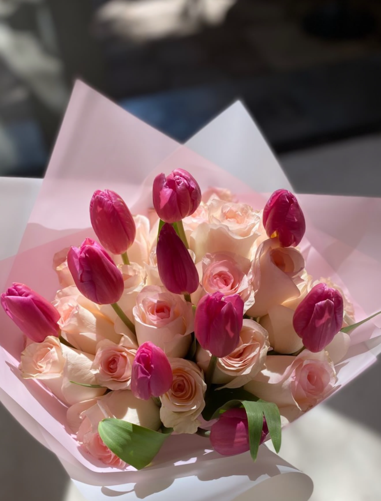 Tulips Stars