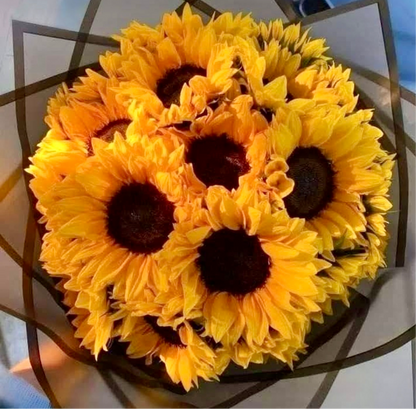 Beautiful Sunflowers