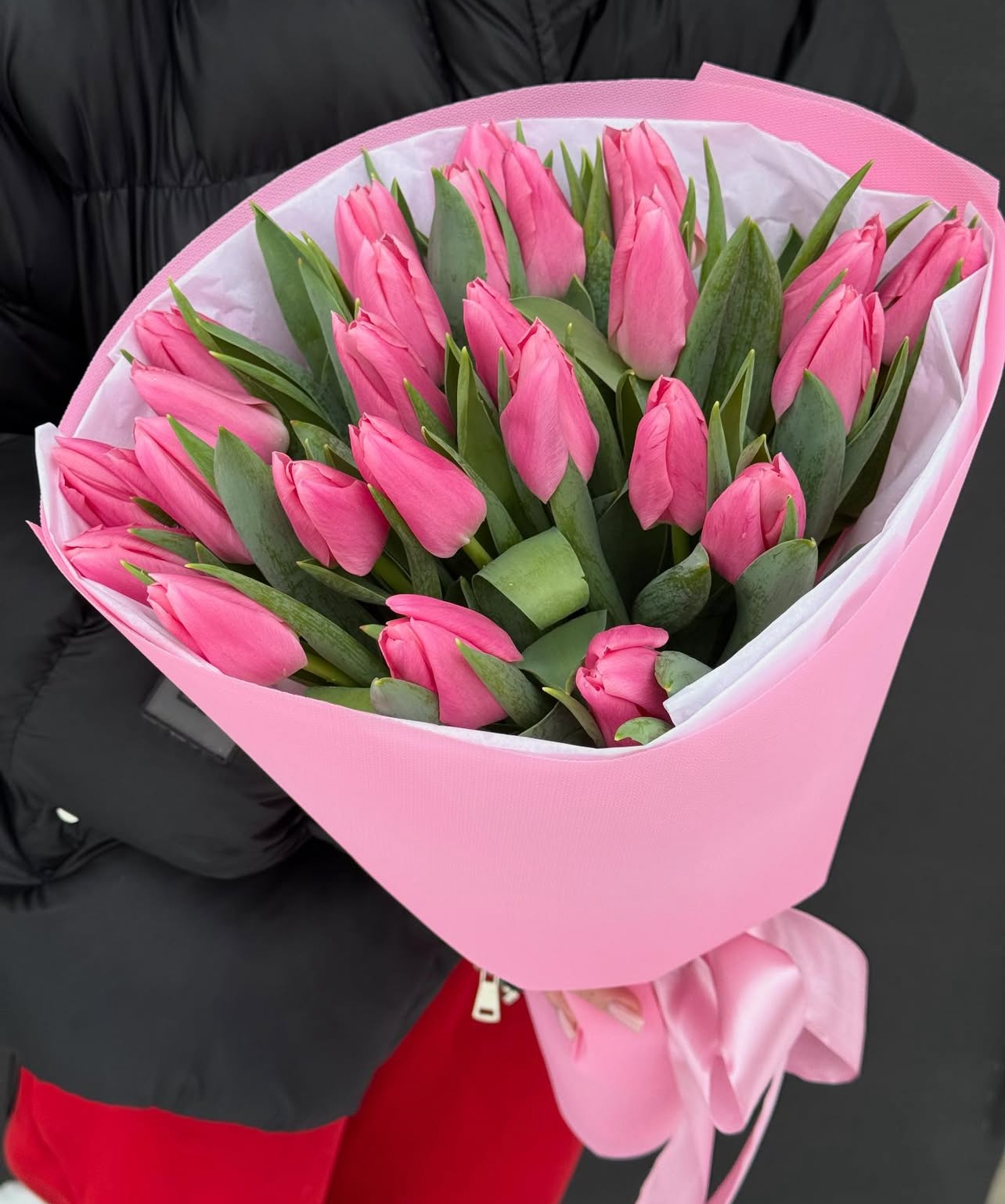 Tulips star (promo por tiempo limitado)