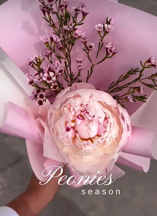 Peonias