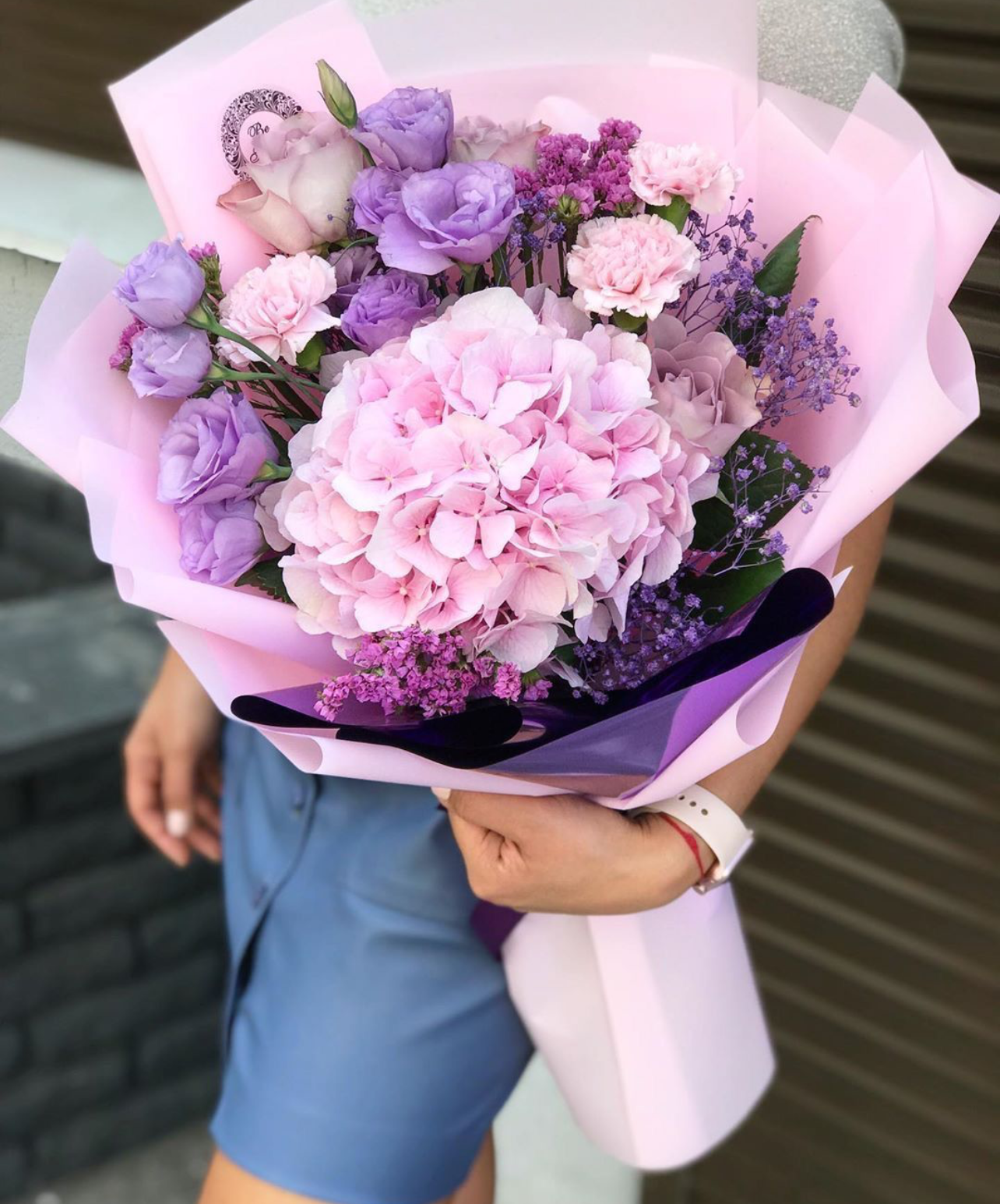 Hortensias Cute