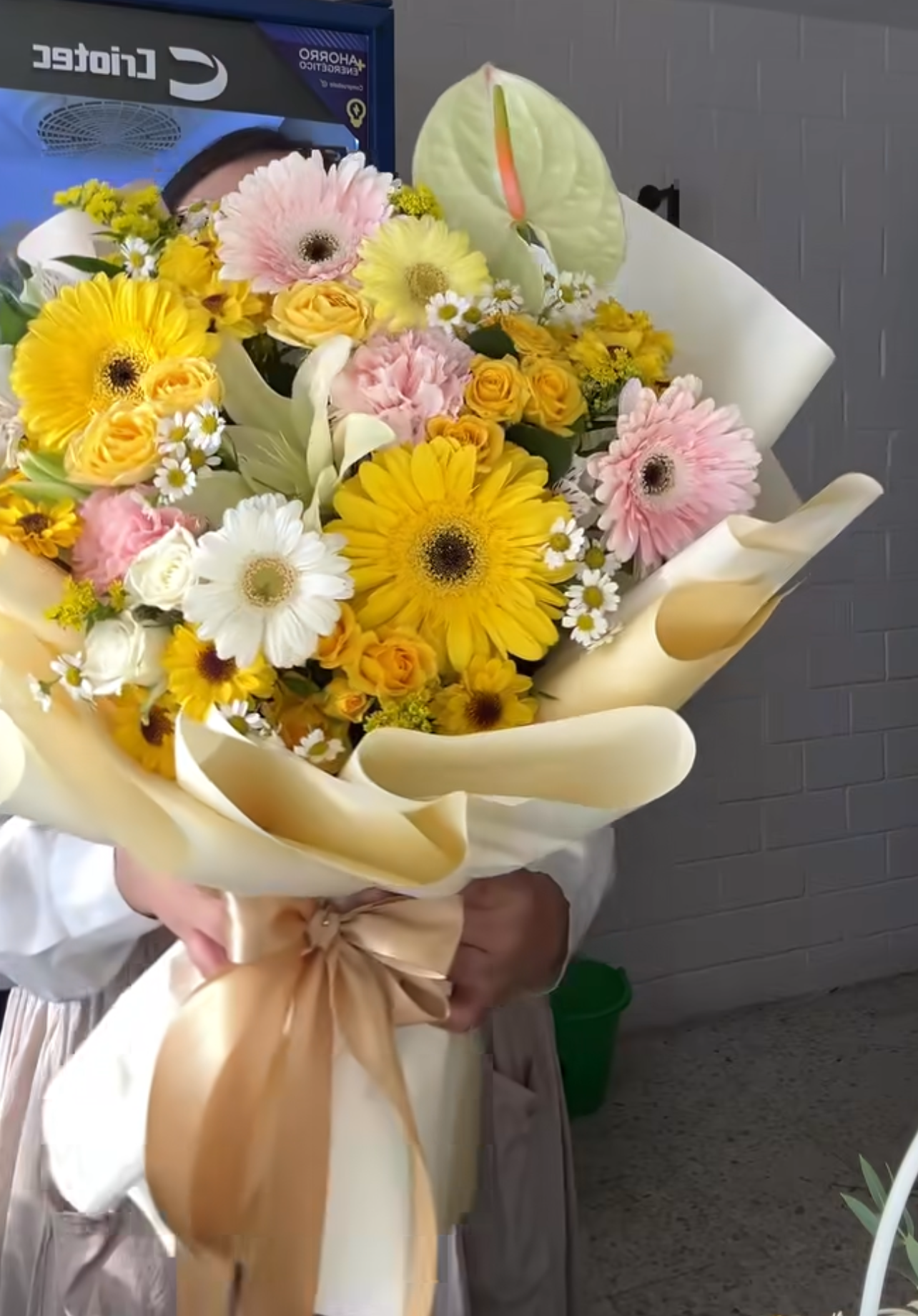 Floricienta