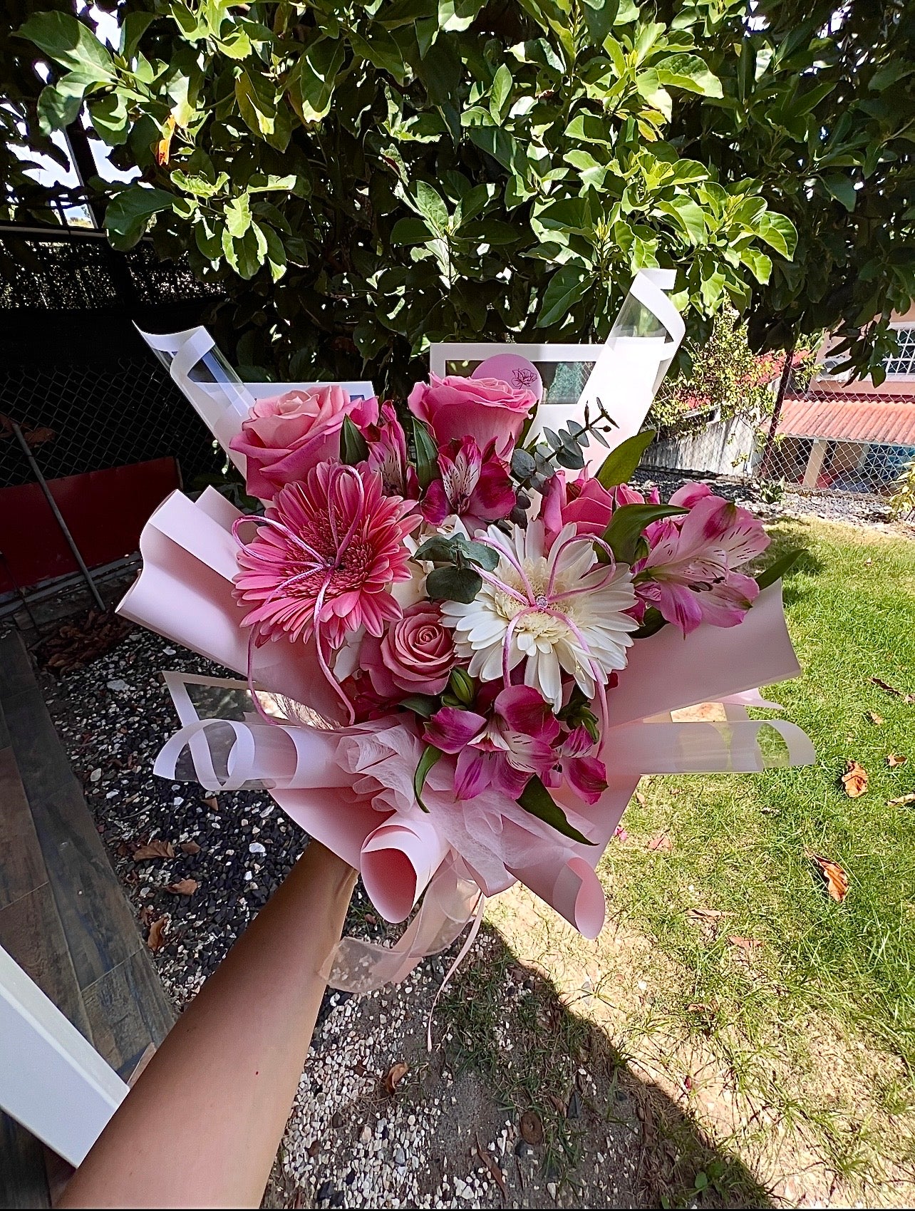 Cute Rose