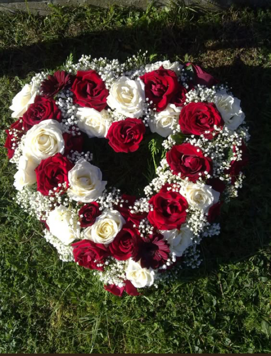 Heart Red and White