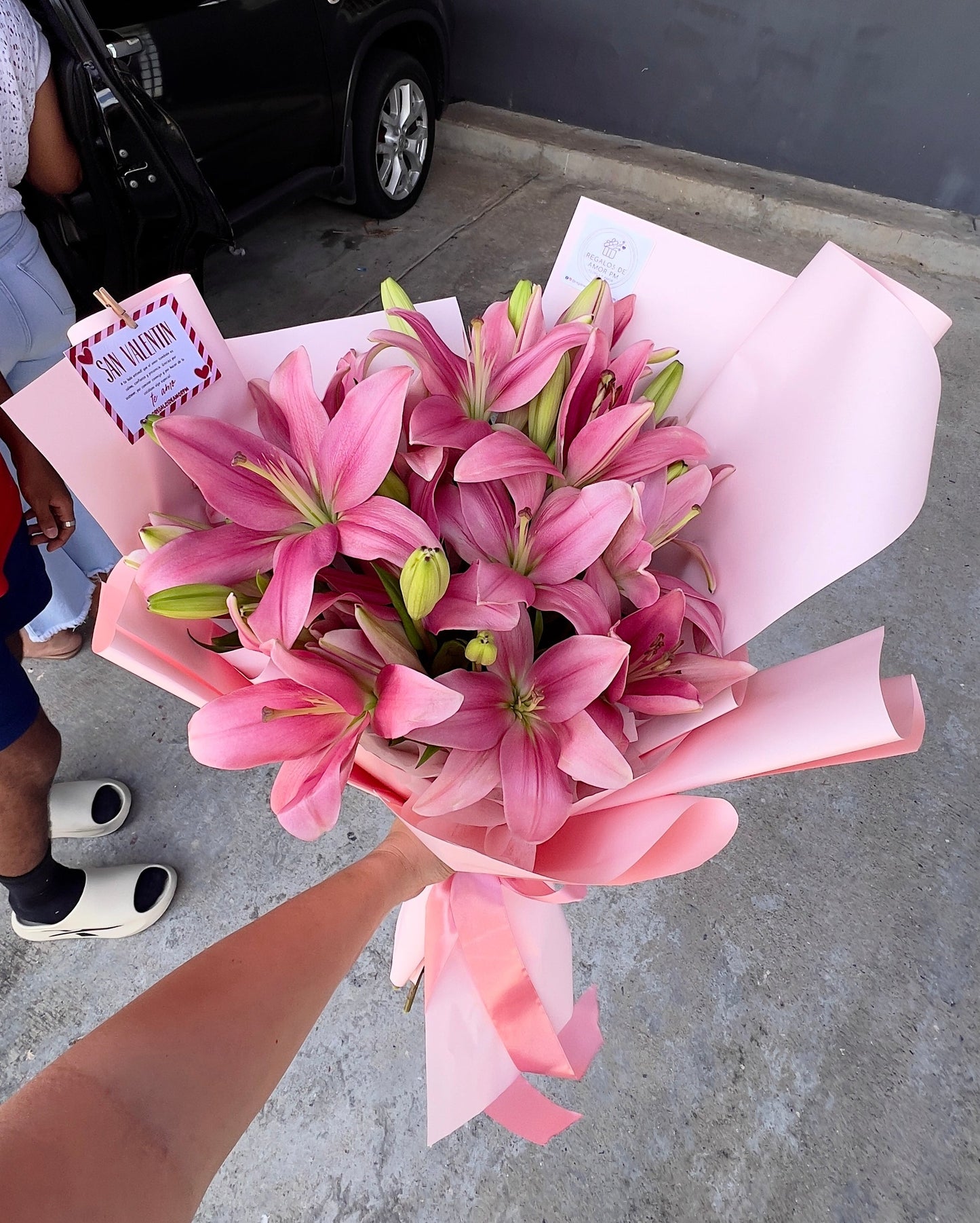 Lilys Pink