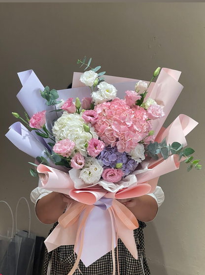 Hortensias Cute