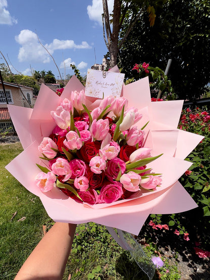 Tulips Stars