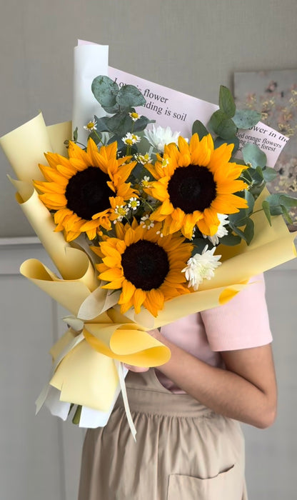 Beautiful Sunflowers