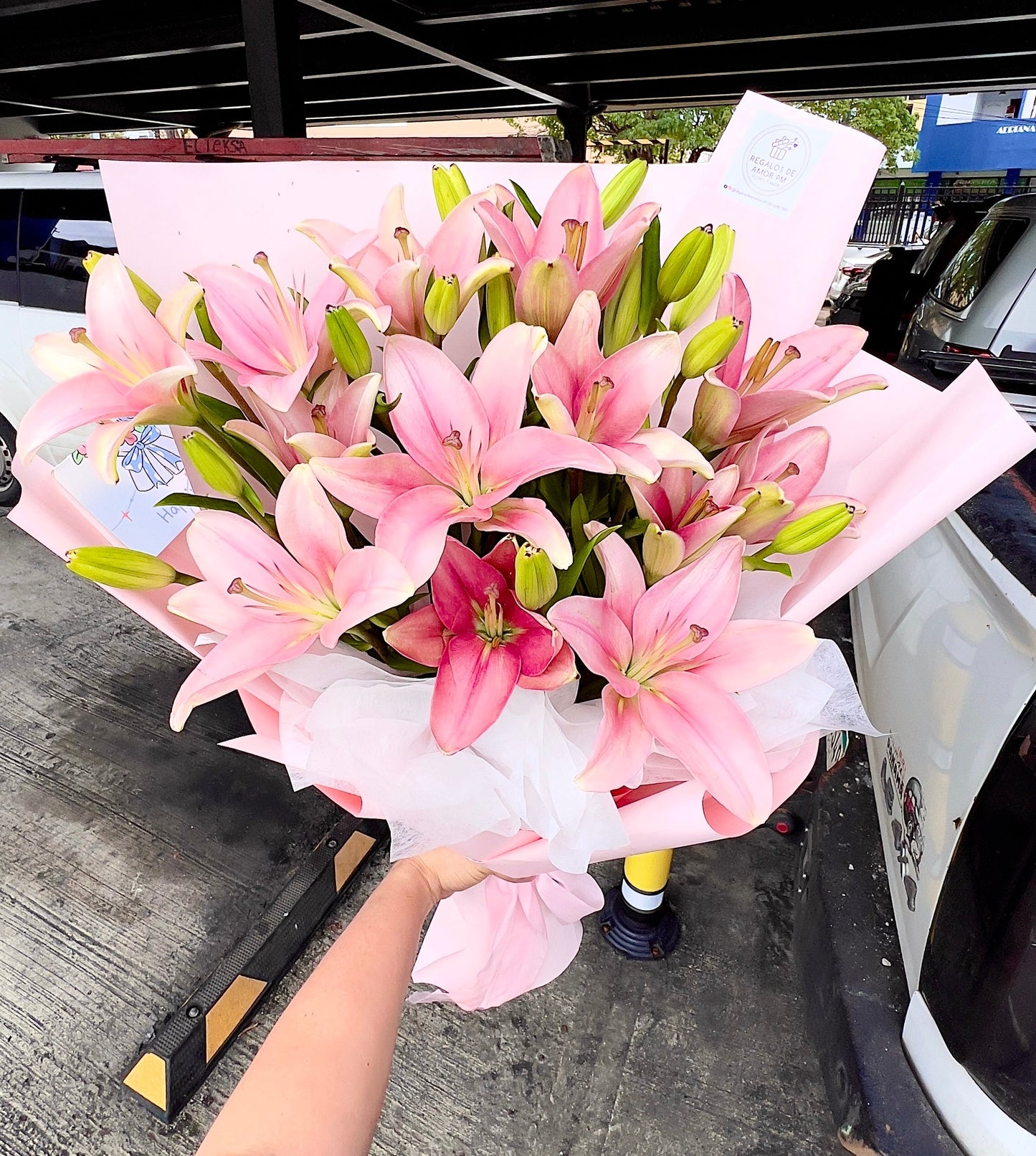 Lilys Pink