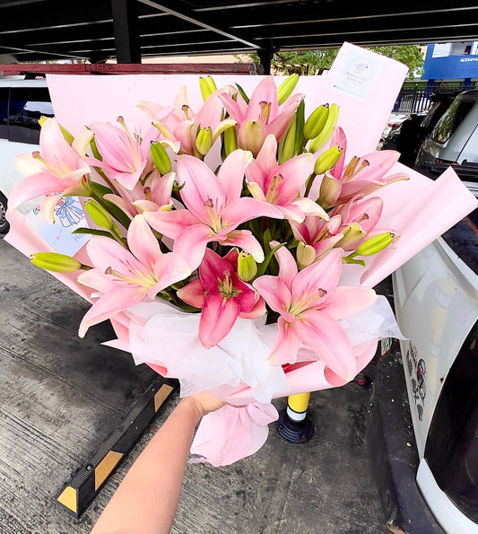 Lilys Pink