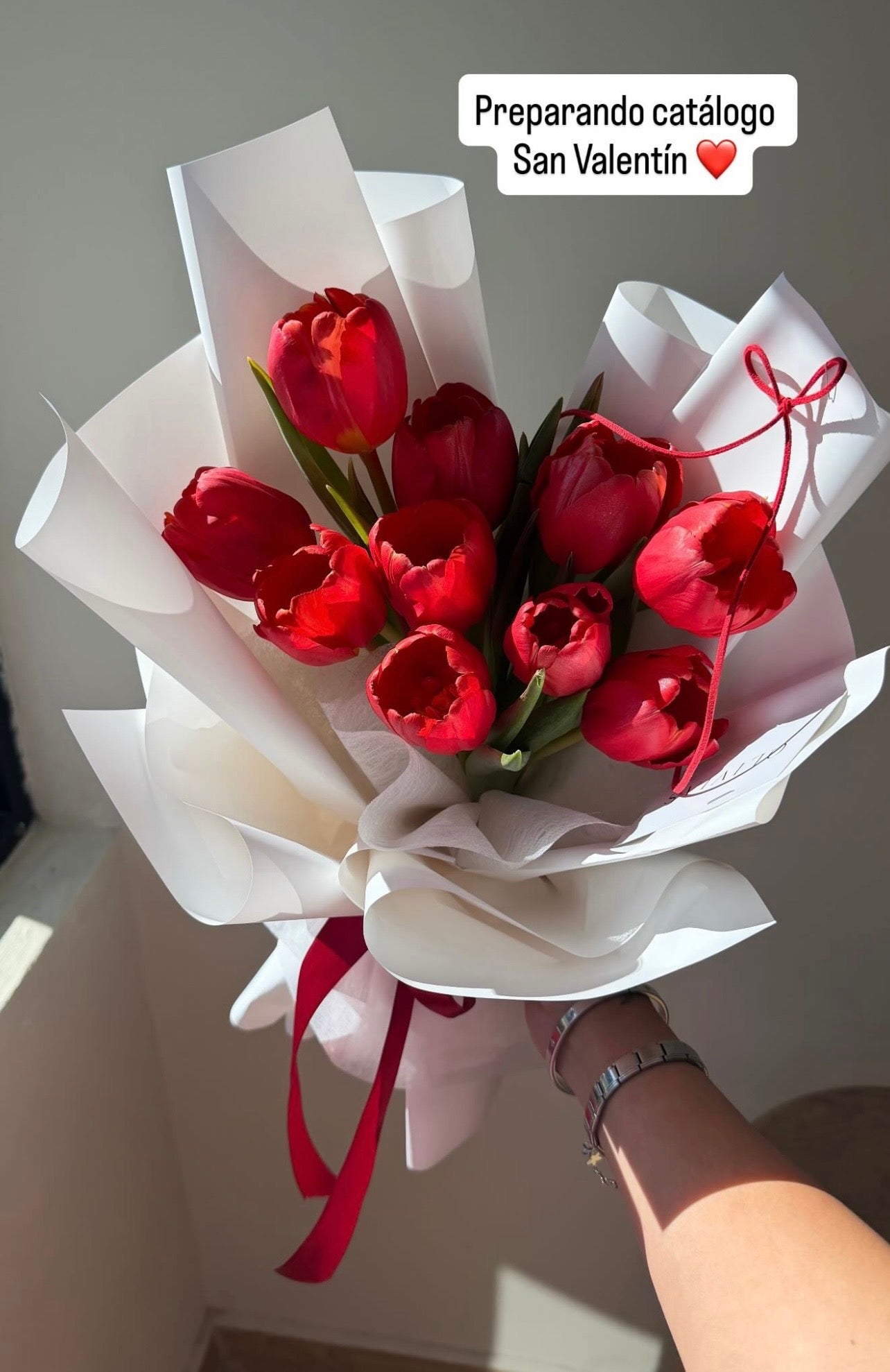 Tulips star (promo por tiempo limitado)