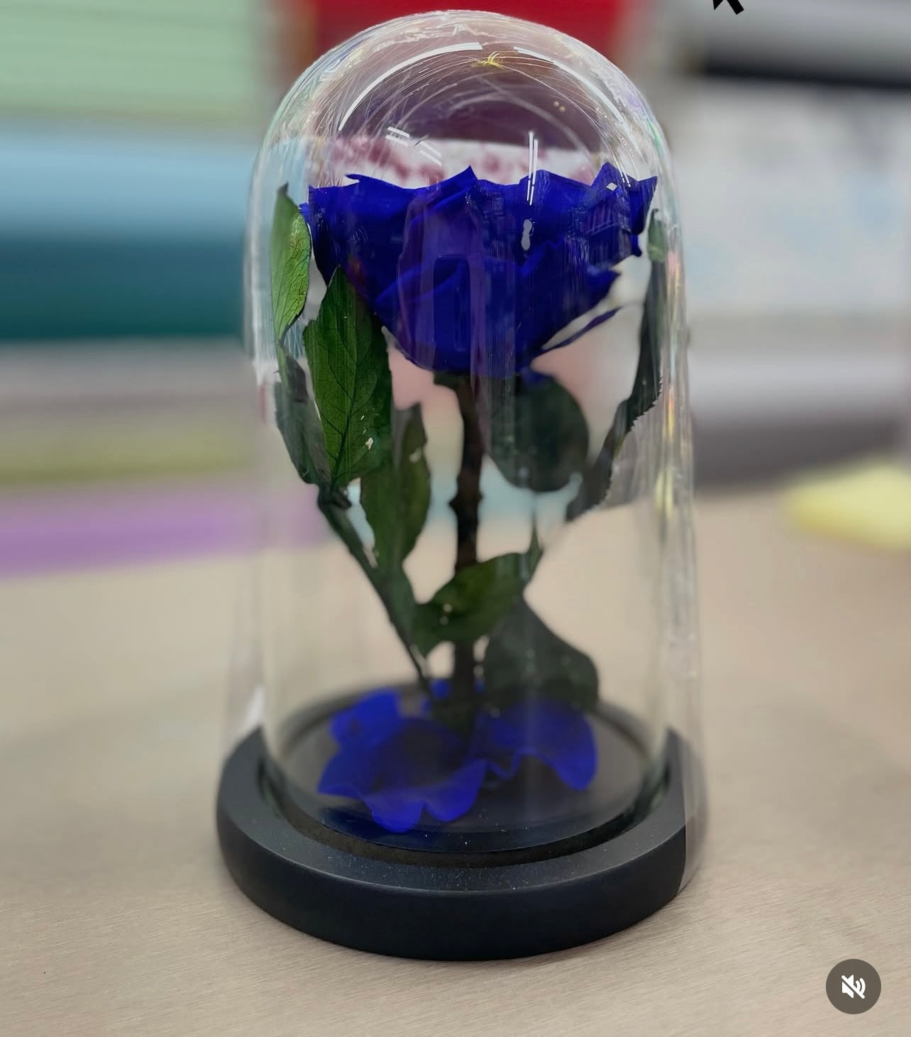 Eternal Rose