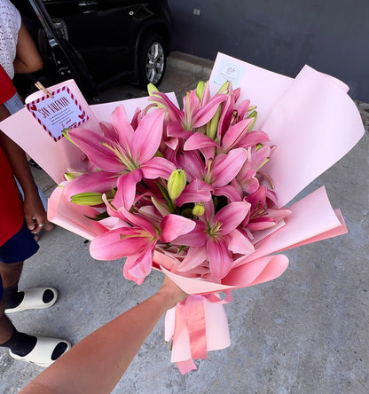 Lilys Pink