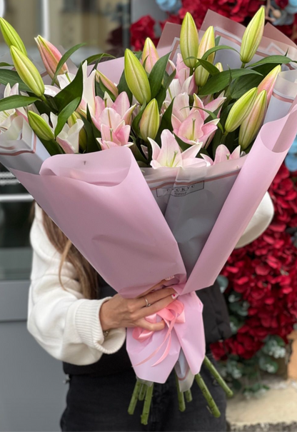 Lilys Lilys