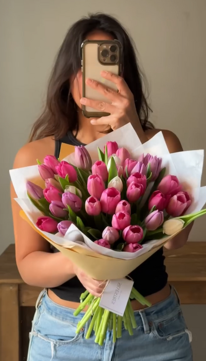 Tulips star (promo por tiempo limitado)