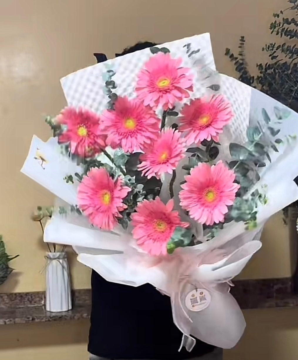 Gerberas Love