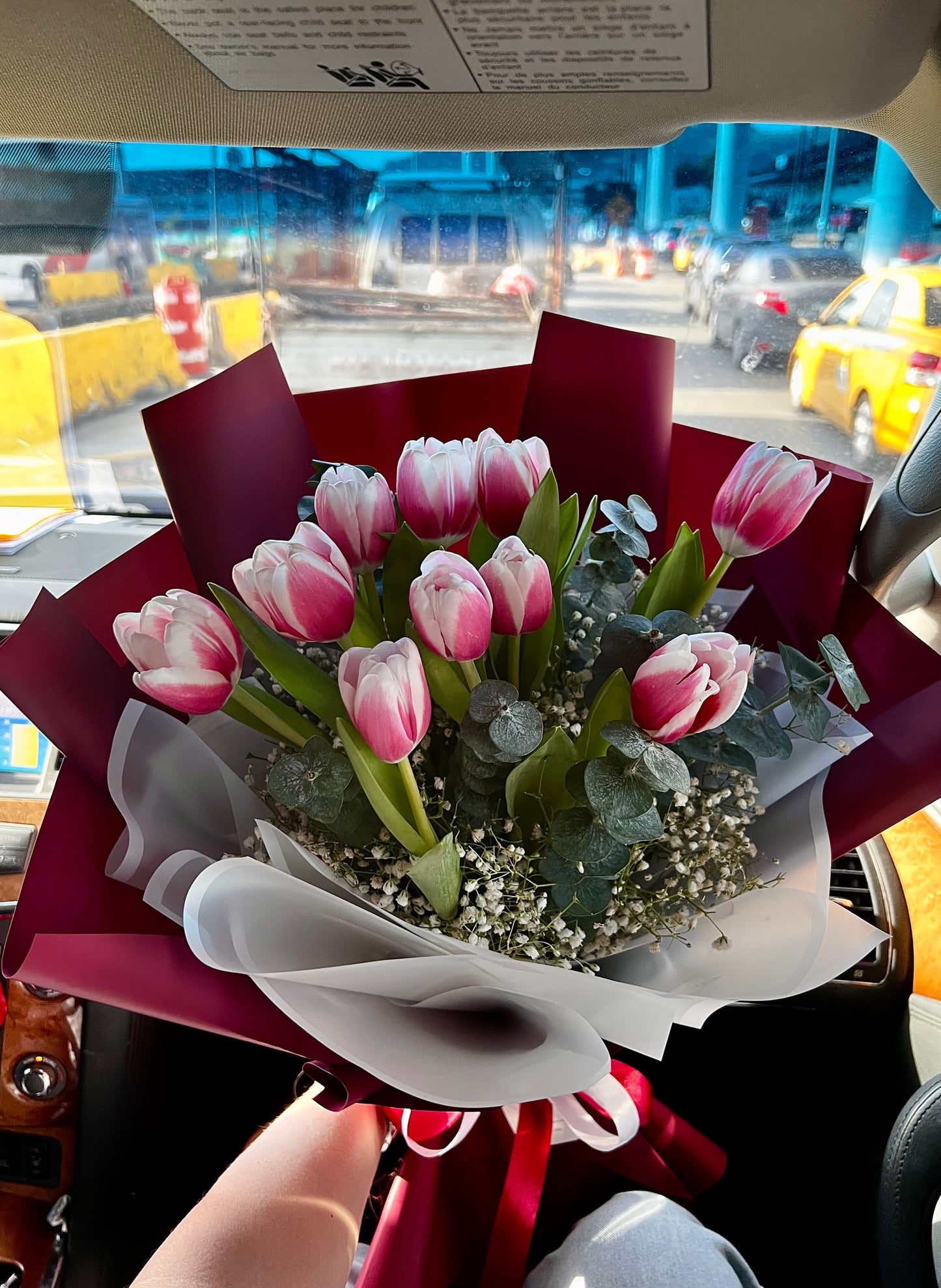 Tulips Velvet