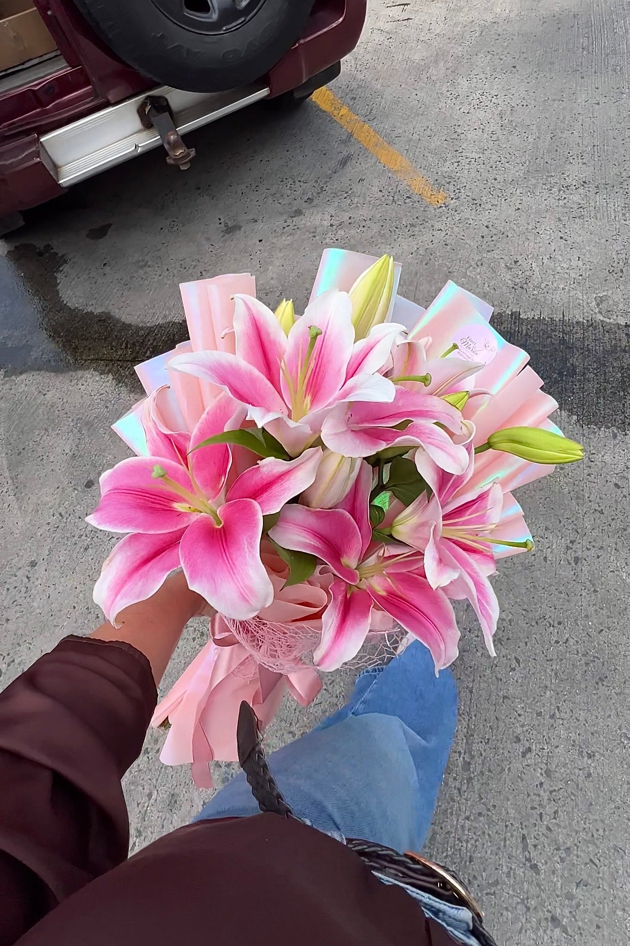 Lilys Lilys