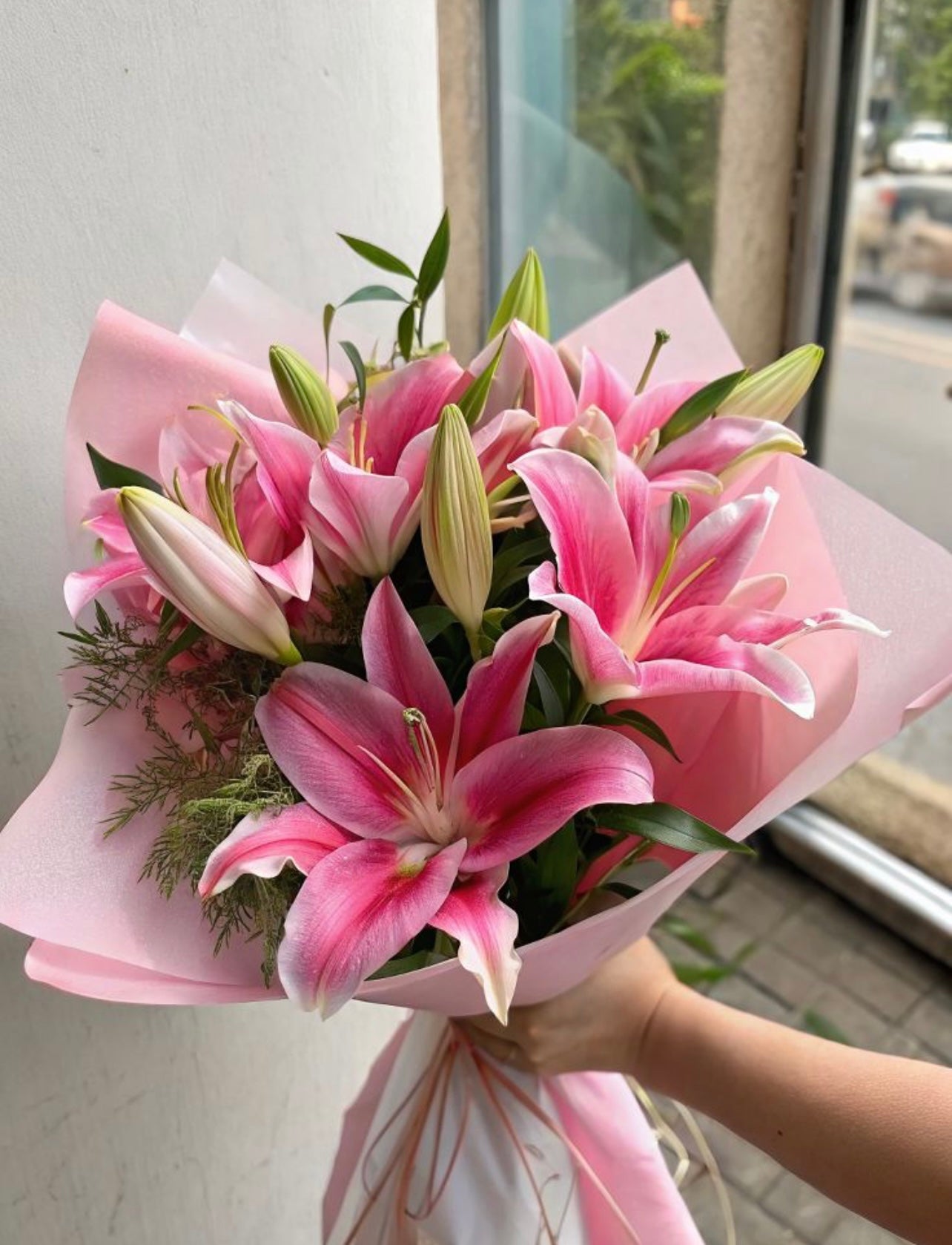 Lilys Lilys