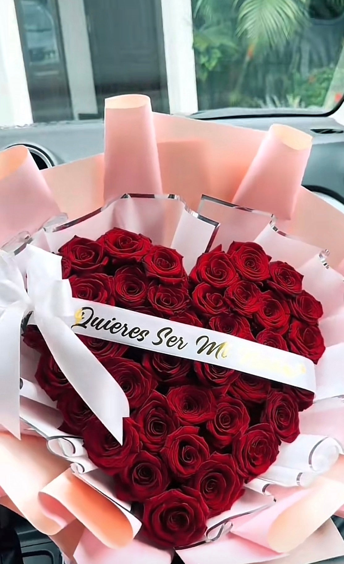 Quieres ser mi novia? Corazón
