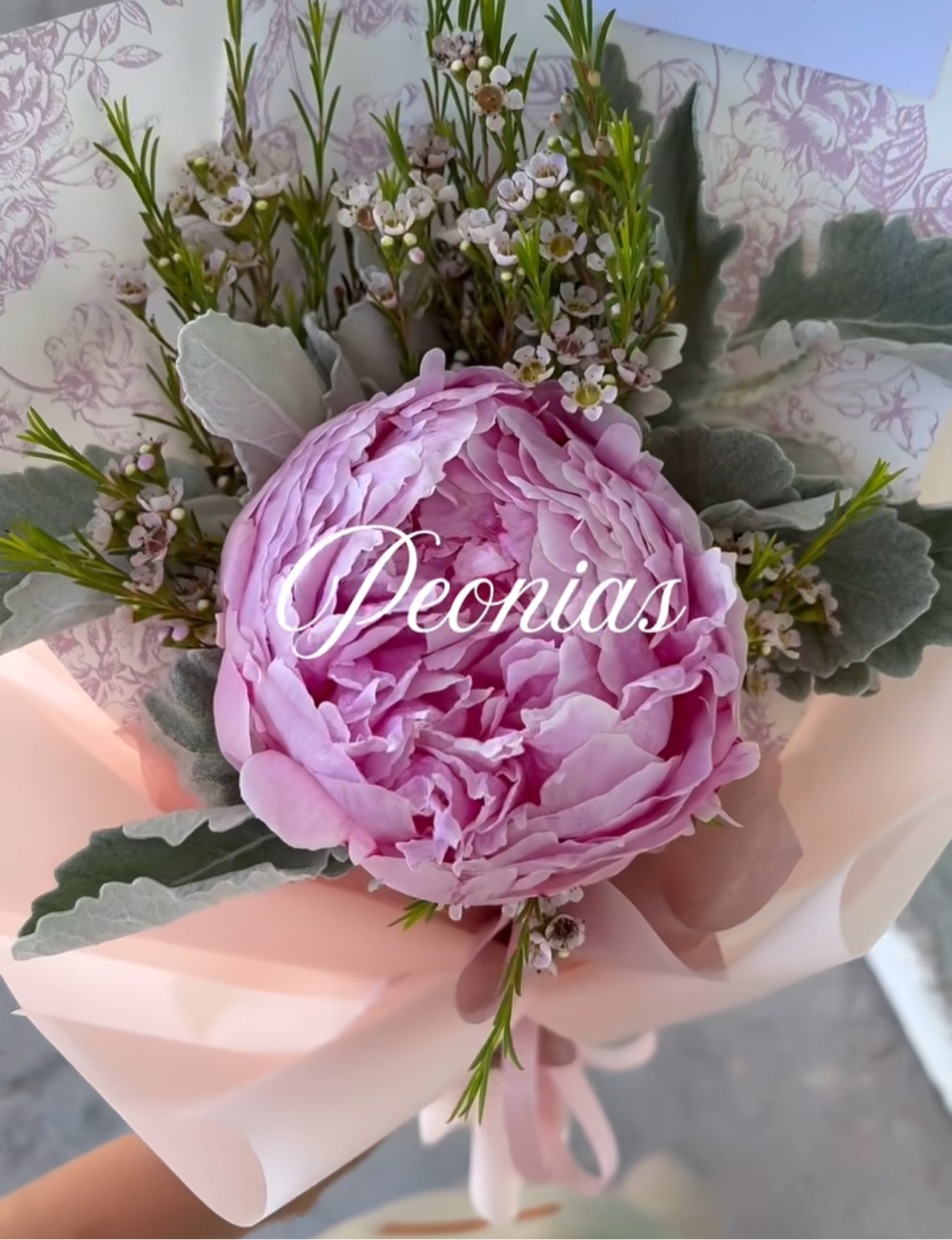 Peonias