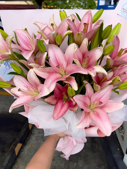 Lilys Pink