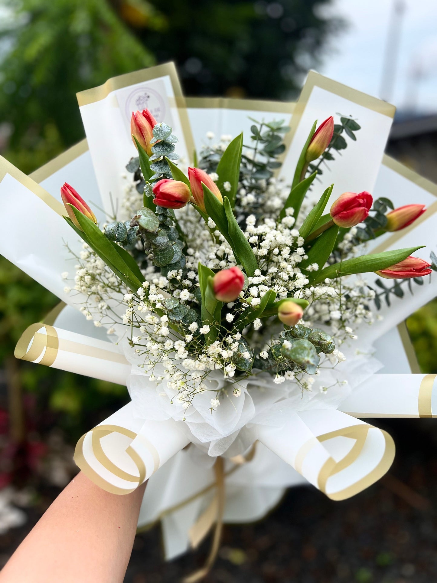 Tulips Velvet