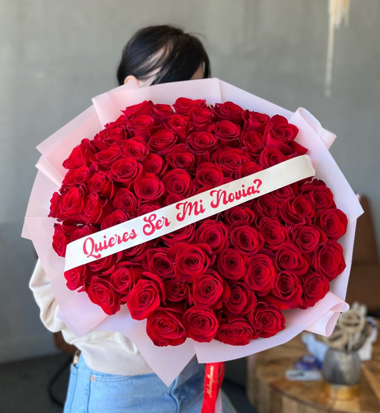 Quieres ser mi novia?