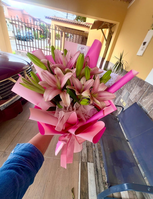 Lilys Lilys
