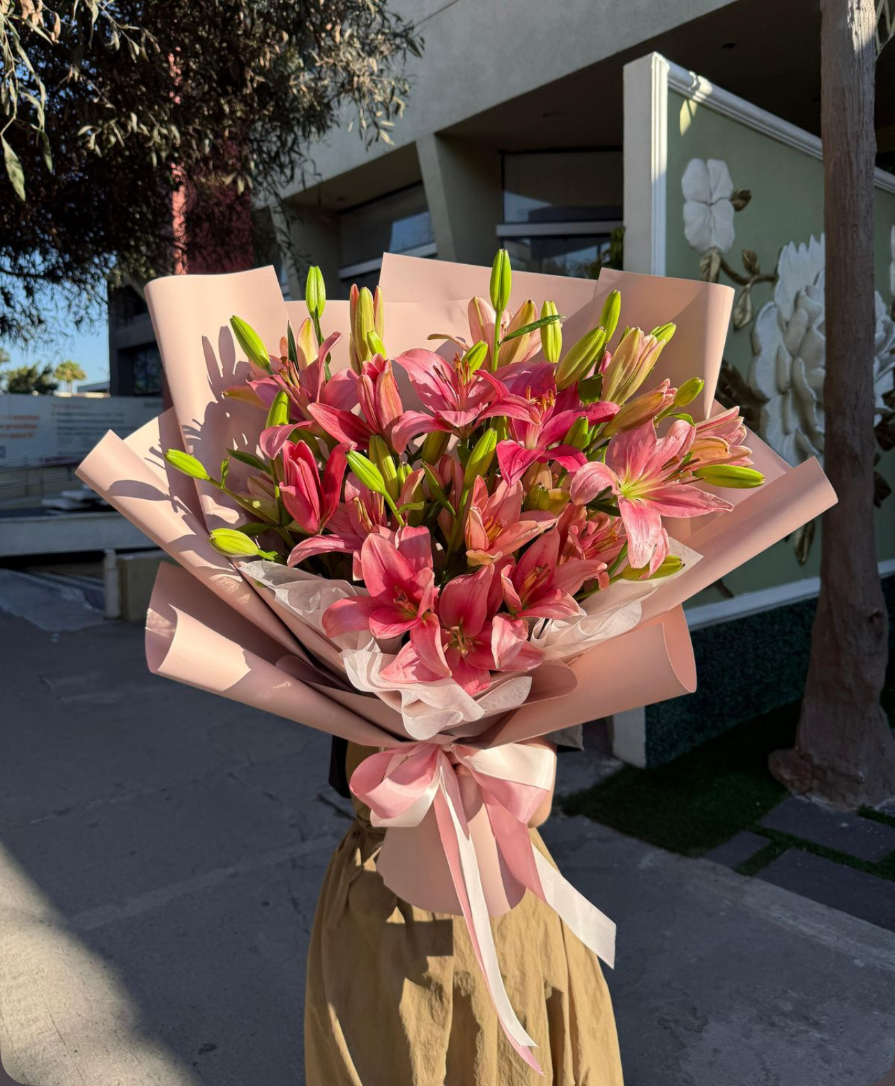 Lilys Pink