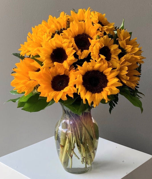 Sunflowers Day